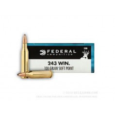 BALA FEDERAL 243 SP 100 GR.