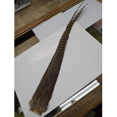 COLA DE FAISAN HARELINE NATURAL